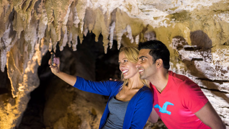 Explore Footwhistle Glowworm Cave in what will be the journey of your lifetime! This intimate cave experience is suitable for those who enjoy nature walks, boutique experiences and small groups.